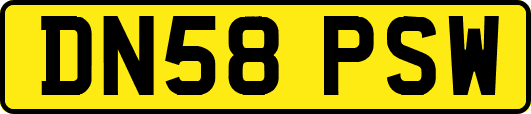 DN58PSW