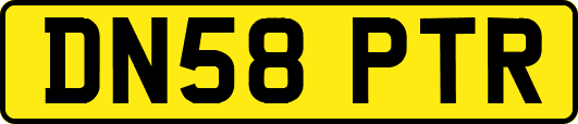 DN58PTR