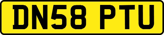 DN58PTU