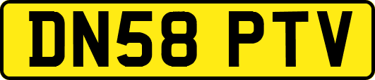 DN58PTV