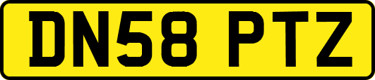 DN58PTZ