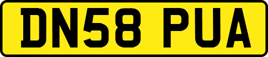 DN58PUA