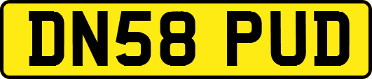 DN58PUD