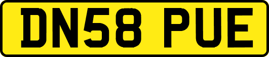 DN58PUE