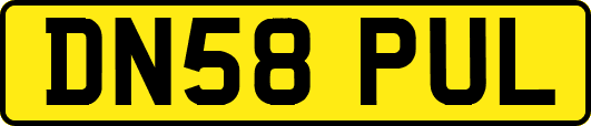 DN58PUL
