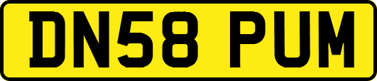 DN58PUM