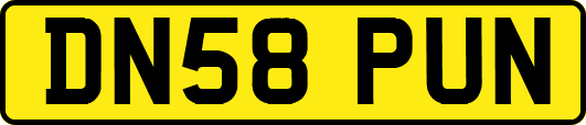DN58PUN