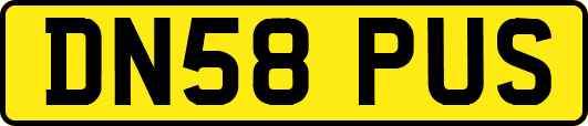 DN58PUS