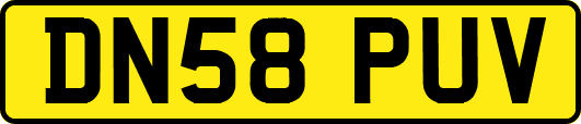 DN58PUV