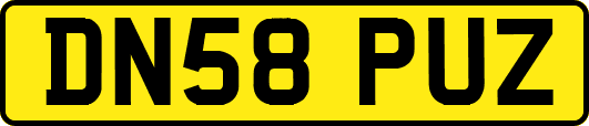 DN58PUZ