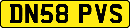 DN58PVS