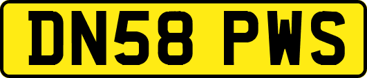 DN58PWS