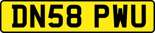 DN58PWU