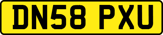 DN58PXU