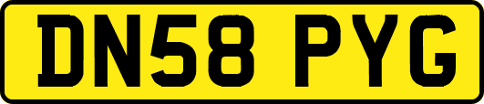 DN58PYG
