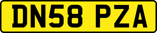 DN58PZA