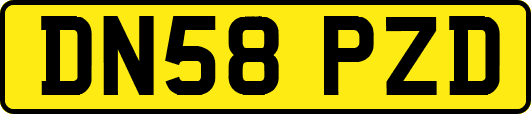 DN58PZD