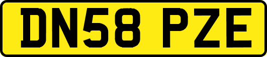 DN58PZE
