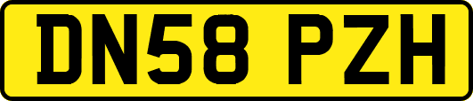 DN58PZH