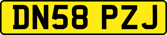 DN58PZJ