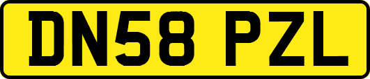 DN58PZL