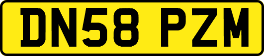DN58PZM