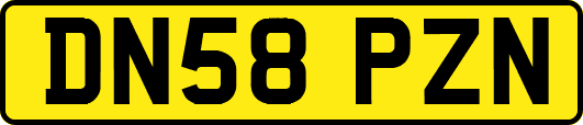 DN58PZN