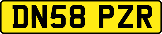 DN58PZR