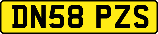 DN58PZS