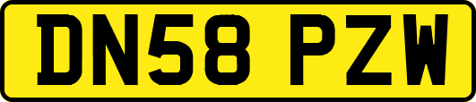 DN58PZW