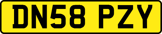 DN58PZY