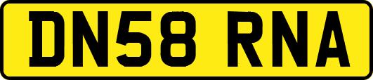 DN58RNA