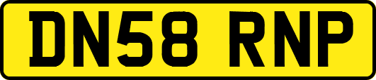 DN58RNP