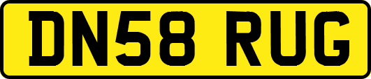 DN58RUG