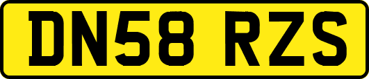 DN58RZS
