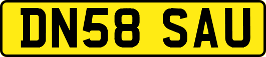 DN58SAU