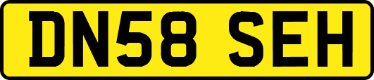 DN58SEH