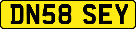 DN58SEY