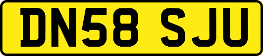 DN58SJU