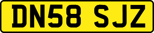 DN58SJZ