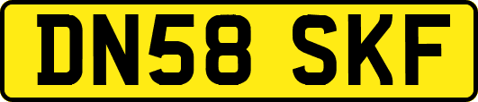 DN58SKF