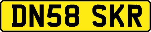 DN58SKR