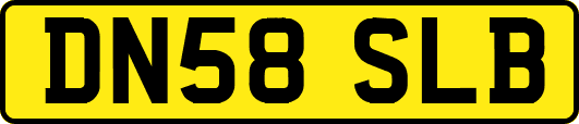 DN58SLB