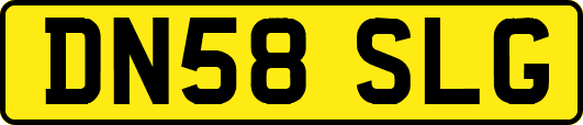 DN58SLG