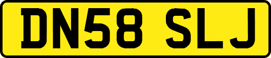 DN58SLJ