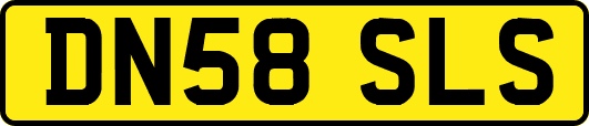 DN58SLS