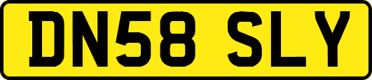 DN58SLY