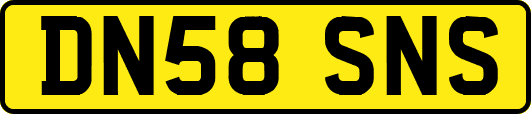DN58SNS
