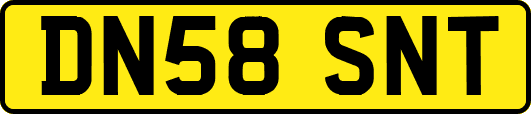 DN58SNT
