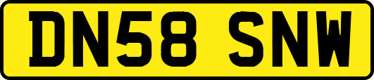 DN58SNW